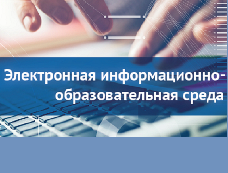 Электронная информационно-образовательная среда.